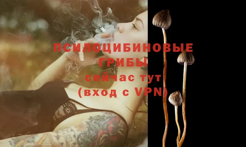 Псилоцибиновые грибы MAGIC MUSHROOMS  Буинск 